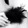 Метелочка Bijoux Indiscrets Pom Pom - feather tickler: Для кого Для женщин