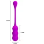 Віброяйце Pretty Love Lechy Wireless Egg Purple: Призначення Вагінальні