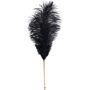 Набор перышек для ласк LOCKINK Sevanda Natural Peacock Flirting Feather Tickler фото 5