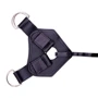 Трусики харнесс Chisa Luxe Harness: Для кого Для женщин