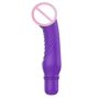 ToyJoy Delight Mini Vibe - вибромассажер, 2.8x19 см