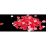 Конфетти для ванной Bath Confetti Big Hearts, 20 г: Для кого Унисекс