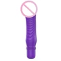 ToyJoy Delight Mini Vibe - вибромассажер, 2.8x19 см: Для кого Для женщин