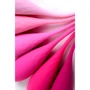 Набор из 6 вагинальных шариков Toyfa Eromantica K-Rose Pink фото 7