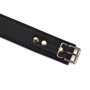 Ошейник с поводком Liebe Seele Black Organosilicon Collar with Leash: Производитель Liebe Seele