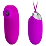 Комплект из виброяйца и вакуумного стимулятора Pretty Love ORTHUS Multifunctional 2 in 1, BI-014901W: Назначение Вагинальные