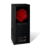 Розкішний кляп у вигляді троянди Zalo - Rose Ball Gag фото 6
