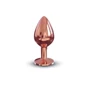 Металева анальна пробка із прикрасою у вигляді кристала Dorcel - Diamond Plug M: Для кого унісекс