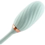 Вакуумний кліторальний стимулятор Otouch Louis Vibrate Teal з вібрацією: Призначення Вакуумні
