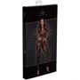 Бодистокинг Noir Handmade F237 Long tulle overall Black, XL: Декор Молния