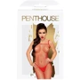 Бодістокінг у велику сітку Penthouse - Body Search Red S/L: Вид Бодистокинг