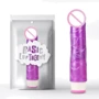 Вібромасажер CHISA Wild Penetrator, Purple: Призначення Вагінальні