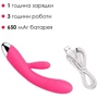 Інтелектуальний вібратор-кролик із підігрівом Svakom Angel Plum Red: Тип управління кнопкове