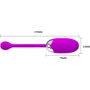 Віброяйце Pretty Love Brook vibrating Egg: Тип і форма Виброяйцо