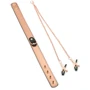Ошейник с зажимами для сосков Liebe Seele Rose Gold Memory Collar with Nipple Clamps фото 11