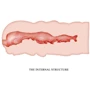 Мастурбатор LYBAILE Crazy Bull Isabel Pocket Masturbator Flesh: Призначення  Классический